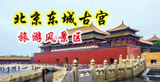 屄美女肏中国北京-东城古宫旅游风景区